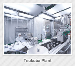 Ysukuba Plant