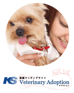 Veterinary Adoption