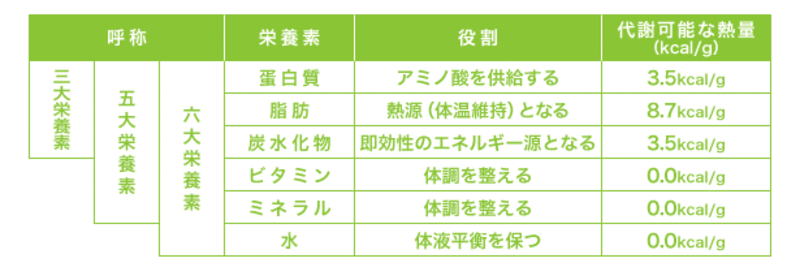 各栄養素の主な役割と代謝可能な熱量